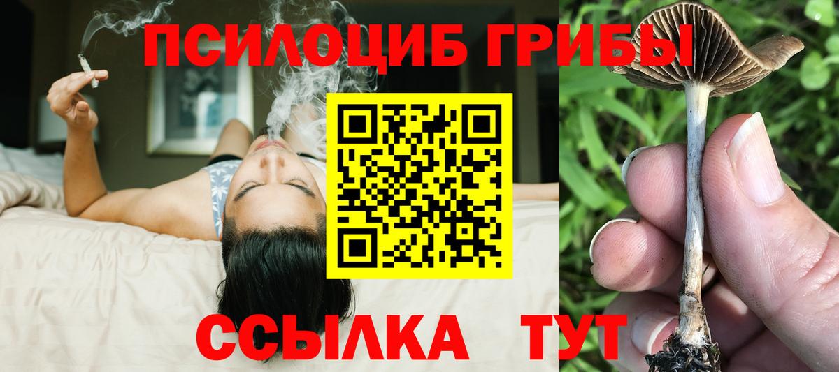 Псилоцибиновые грибы Magic Shrooms  Галлюциногенные грибы Psilocybe  Вход с VPN  Елец 